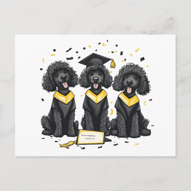 Abschluss Standard Poodle Hunde Postkarte (Vorderseite)