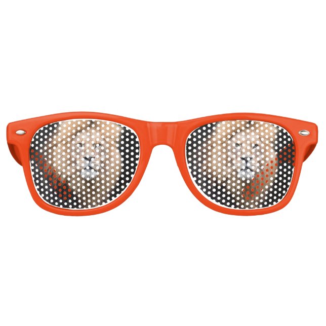 Abschlussportrait eines männlichen Löwen Sonnenbrille (Vorderseite)