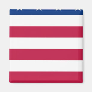 Abschnitt 5 von 8 Abschnitten - US-FLAG - Magnet