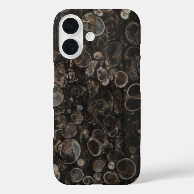 Abschnitt Turritella Agate Case-Mate iPhone Hülle (Rückseite)