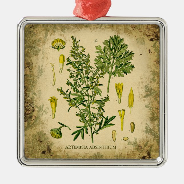 Absinthe Botanical Collage Silbernes Ornament (Vorne)