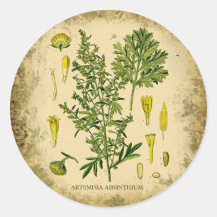Absinthe Botanische Collage Runder Aufkleber