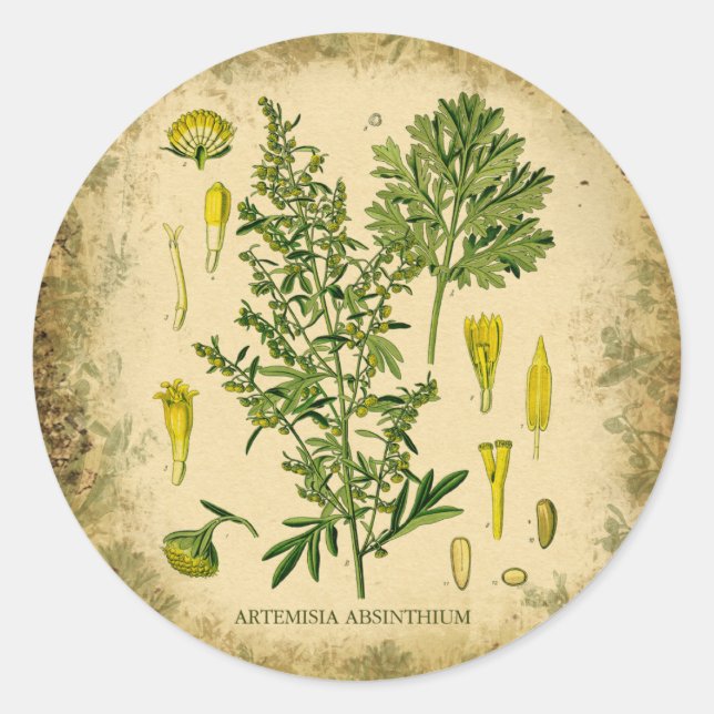 Absinthe Botanische Collage Runder Aufkleber (Vorderseite)