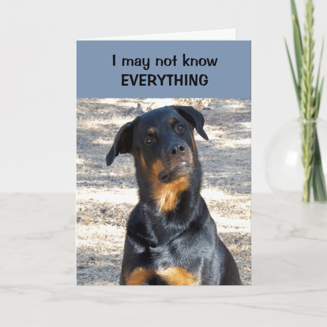 Absolut Sure Rottweiler Valentinstag Card Feiertagskarte (Vorderseite)