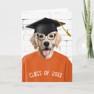 Absolvent Golden Retriever mit schwarzer Kappe Karte