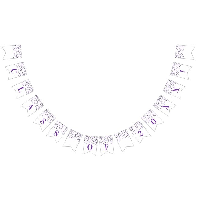 Absolvent-Klassen-Jahr-Fahnelila silberner Wimpelkette (Alle)