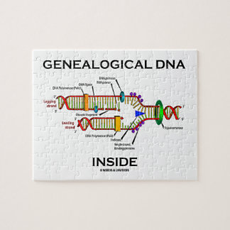 Abstammungs-DNS-Innere (Genealogist-Haltung) Puzzle