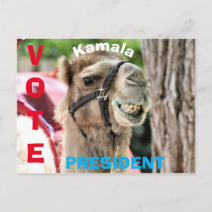 Abstimmung Postkarte