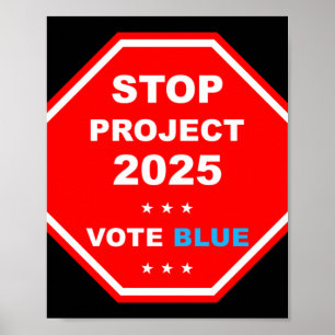 Abstimmung Rett Demokratie Stopp Projekt 2025 Poster