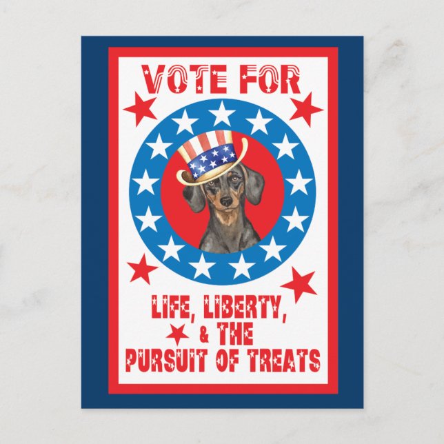 Abstimmung über die Dackel Postkarte (Vorderseite)