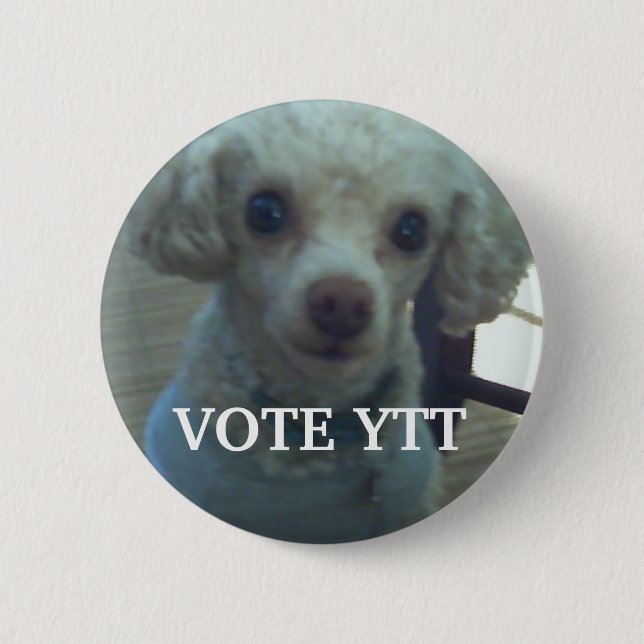 ABSTIMMUNG YTT BUTTON (Vorderseite)