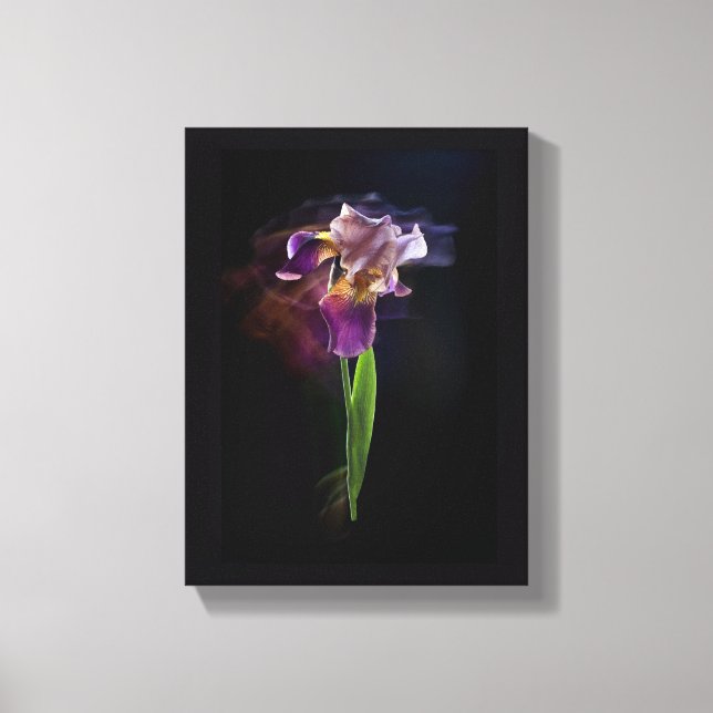 Abstract Iris Flower – Elegant Floral Art Leinwanddruck (Vorderseite)