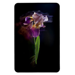Abstract Iris Flower – Elegant Floral Art Magnet