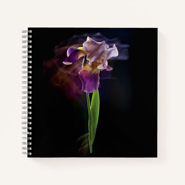 Abstract Iris Flower – Elegant Floral Art Notizbuch (Vorderseite)
