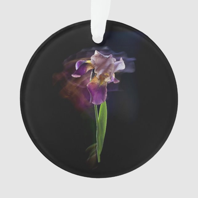 Abstract Iris Flower – Elegant Floral Art Ornament (Vorderseite)