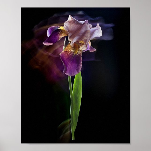 Abstract Iris Flower – Elegant Floral Art Poster (Vorne)