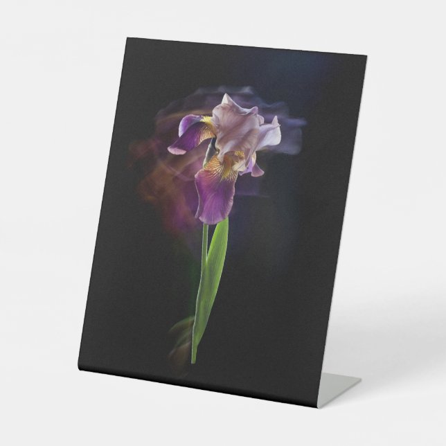Abstract Iris Flower – Elegant Floral Art Sockelschild (Vorderseite)