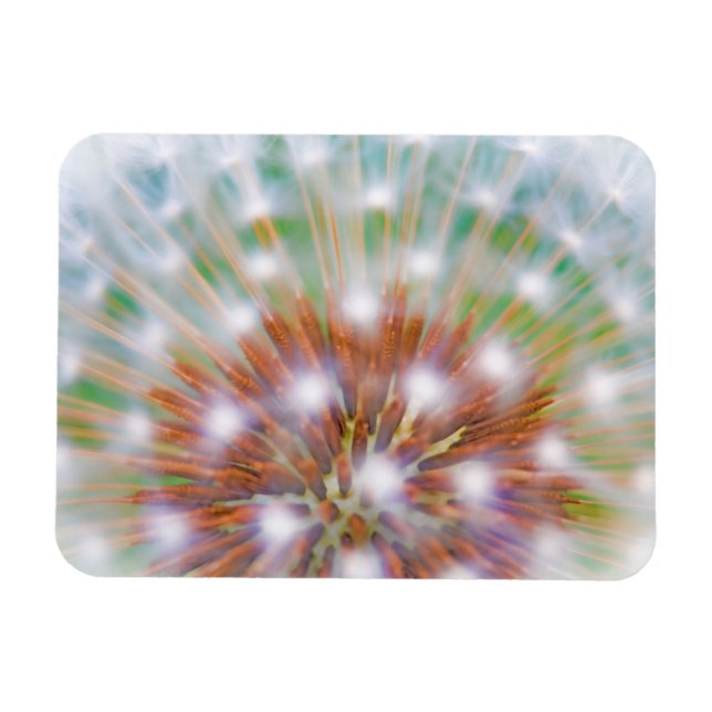 Abstract of dandelion seed head magnet (Horizontal)