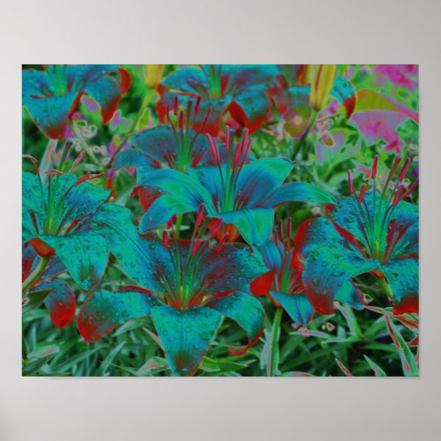 Abstrakt Blue Taglilien Raindrops Blume Poster (Vorne)