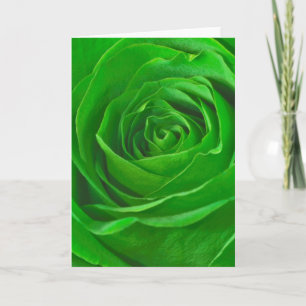 Abstrakt Emerald Green Rose Center Fotografie Karte
