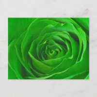 Abstrakt Emerald Green Rose Center Fotografie