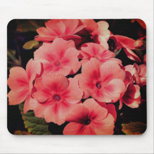 Abstrakt Peach Primrose Blume Kunst Mousepad