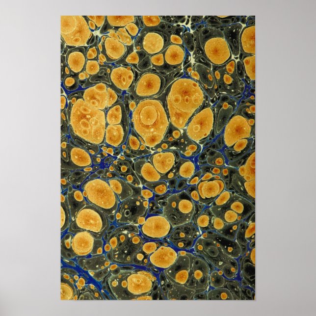 Abstrakt Poster (Vorne)