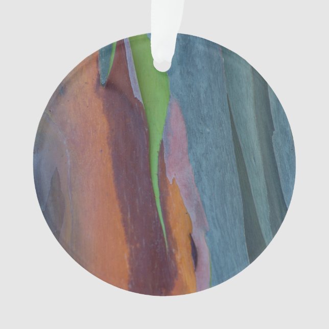 Abstrakt vom Regenbogen-Gummi-Baum Ornament (Vorderseite)