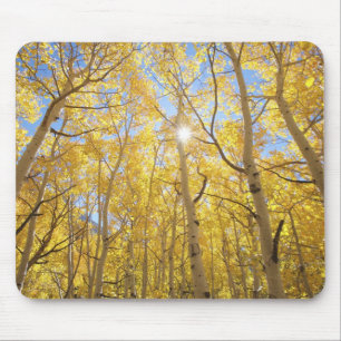 Abstrakt von Gilia zwischen Wildblumen Kaliforni Mousepad