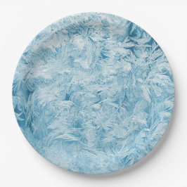 abstrakte blaue Federn und Schneeflocken Pappteller