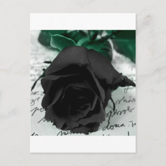 Abstrakte Blume Schwarze Rose Postkarte