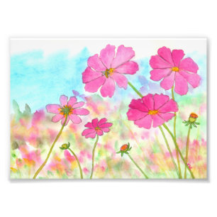 Abstrakte Blumenkunst Rosa Kosmos Wilde Blumen Fotodruck