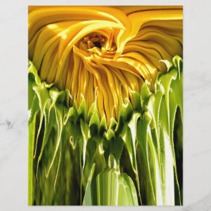 Abstrakte funky Retro-Sonnenblume, erschreckende G