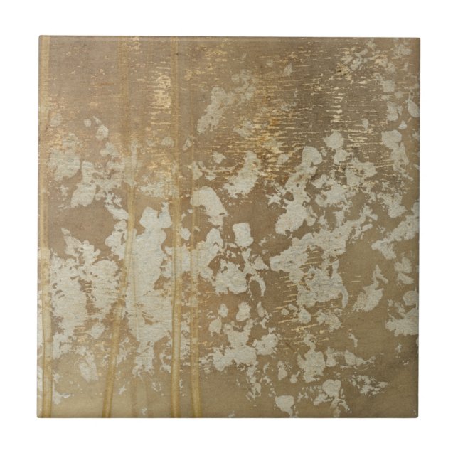 Abstrakte Goldmalerei mit Silberfalten Fliese (Vorderseite)