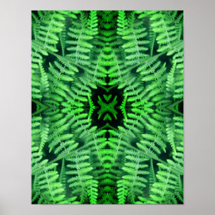 Abstrakte Grüne Blattfarne Poster