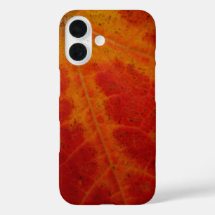 Abstrakte Herbst-Naturfotografie mit rotem Ahornbl iPhone 16 Hülle