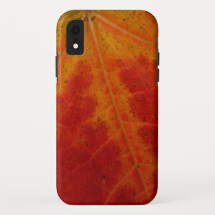 Abstrakte Herbst-Naturfotografie mit rotem Ahornbl Case-Mate iPhone Hülle