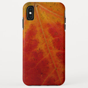 Abstrakte Herbst-Naturfotografie mit rotem Ahornbl Case-Mate iPhone Hülle