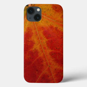 Abstrakte Herbst-Naturfotografie mit rotem Ahornbl iPhone 13 Hülle