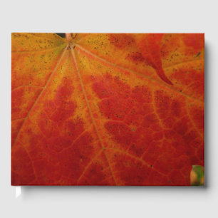 Abstrakte Herbst-Naturfotografie mit rotem Ahornbl Gästebuch