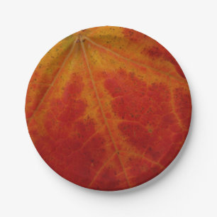 Abstrakte Herbst-Naturfotografie mit rotem Ahornbl Pappteller