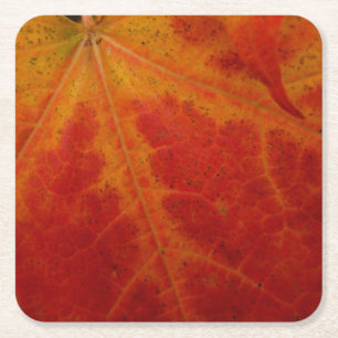 Abstrakte Herbst-Naturfotografie mit rotem Ahornbl Rechteckiger Pappuntersetzer