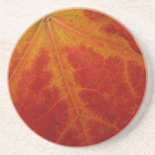 Abstrakte Herbst-Naturfotografie mit rotem Ahornbl Sandstein Untersetzer