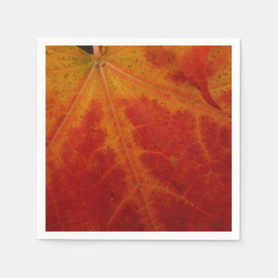 Abstrakte Herbst-Naturfotografie mit rotem Ahornbl Serviette