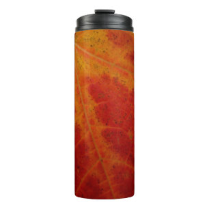 Abstrakte Herbst-Naturfotografie mit rotem Ahornbl Thermosbecher