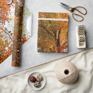 Abstrakte Herbst-Sahson-Ahornbaum-Kunst oder  Geschenkpapier
