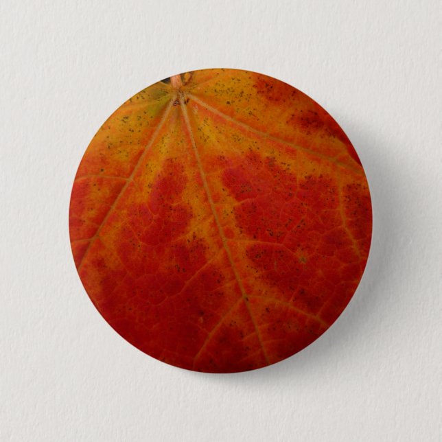 Abstrakte Herbstfotografie aus dem Ahornleaf Button (Vorderseite)