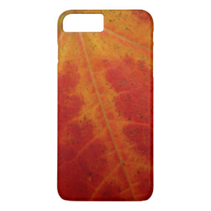 Abstrakte Herbstfotografie aus dem Ahornleaf Case-Mate iPhone Hülle