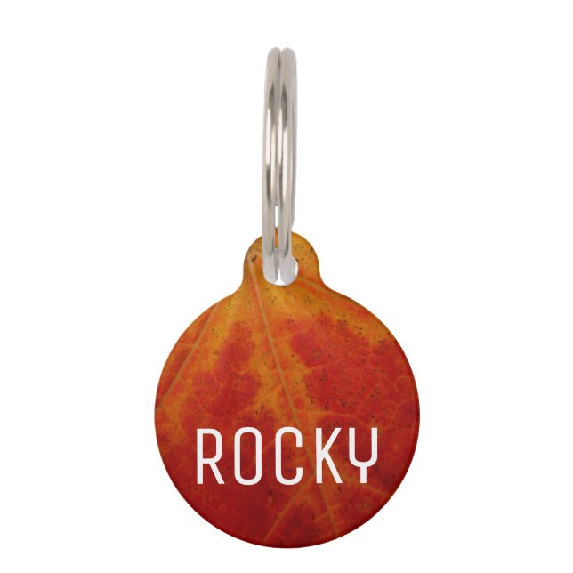 Abstrakte Herbstfotografie aus dem Ahornleaf Haustiermarke (Vorderseite)