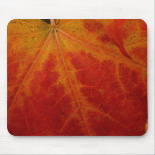 Abstrakte Herbstfotografie aus dem Ahornleaf Mousepad